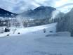 Ammergauer Alpen (Bergketen): Grootte van de skigebieden – Grootte Wanklifte – Oberammergau
