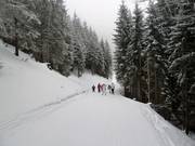 Start van de Hababfahrt