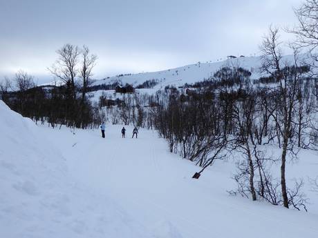 Langlaufen Noord-Zweden – Langlaufen Tänndalen