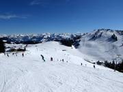 Makkelijke pistes bij de 8-persoons stoeltjeslift Osthang bij de Brandstadl in Scheffau