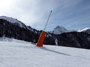 Lanzenbesneeuwing bij Belvedere