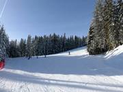 Zuidafdaling Rittisberg