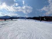 Brede en gemakkelijke piste Family