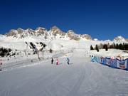 Gemakkelijke piste Campo Scuola Chiesetta (Passo San Pellegrino)