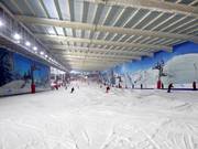 Uitzicht op de hoofdafdaling vanaf het bergstation