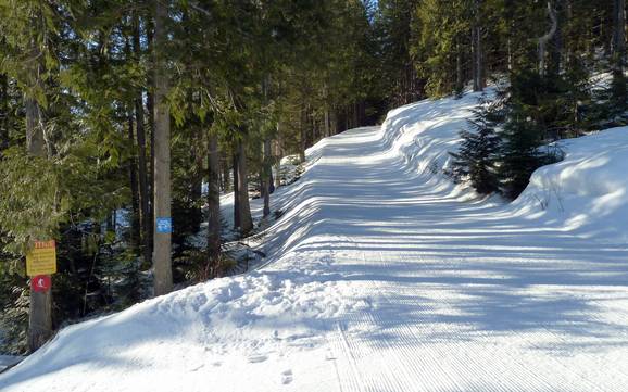 Langlaufen Lizard Range – Langlaufen Fernie