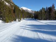 Dalafdaling naar Tschierv