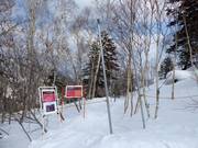 Poort naar de uitgedunde bosafdalingen