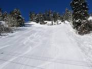 Uitstekende pistepreparatie