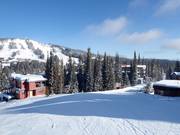 Van Silver Queen naar het Village