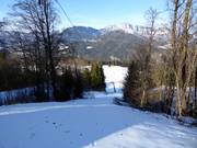 Eckerbichllift - Sleeplift met T-beugel/Ankerlift