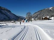 Loipe in Ramsau am Dachstein