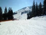 Makkelijke familieroute bij de Sonnenhang-stoeltjeslift