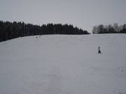 Beginnerspiste Hanslmühle