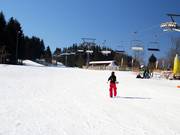 Zeer gemakkelijk – de piste Rauher Busch