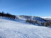 Uitzicht vanaf de Osthang over het skigebied Ramundberget