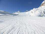 Gemakkelijke piste nr. 38 Tiefenbachferner