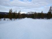 Makkelijke piste in het dalgebied Ylläs-Ski