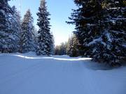 Verbindingspiste naar de skiliften