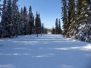 Makkelijke bosafdaling in Hundfjället
