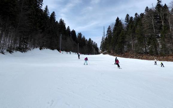 Skigebieden voor beginners in het kanton Sarajevo – Beginners Babin Do – Bjelašnica