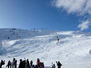 Pistes Pro Am en Shirt Front