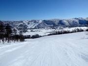 Piste Steinspretten nr. 12 (Gullsteinhovda)