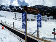 Jelly Bean - Transportband