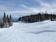 Gemakkelijke piste Aunt Gladys