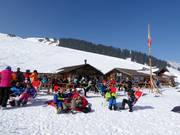 Lägerbar onder de Männlichen