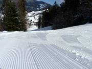Geprepareerde piste in het skigebied Tirolina