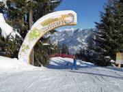 Tip voor de kleintjes  - Schmidolins Kidsslope