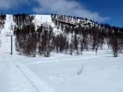 Uitzicht op de steile poedersneeuwhelling bij de Anjaliften