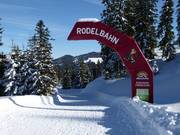 Tip voor de kleintjes  - Rodelbaan Königslehen (Radstadt)