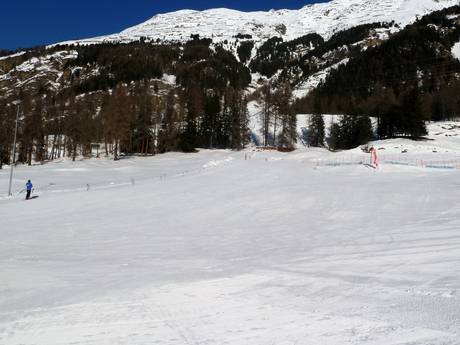 Skigebieden voor beginners in het Val Bernina – Beginners Languard – Pontresina
