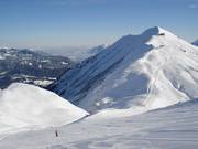 Grensoverschrijdende piste met uitzicht op de Fellhorn
