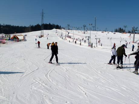Skigebieden voor beginners in Polen – Beginners Białka Tatrzańska – Kotelnica/Kaniówka/Bania