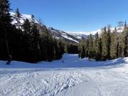 Dalafdaling Schöneben