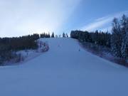 Worldcuppiste Hannes Trinkl