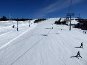 Afdaling Västbacken