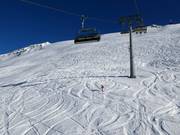 Freeridegebied bij de Große Karbahn