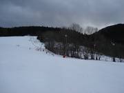 Uitzicht op de piste