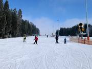 Gemakkelijke piste Jezerní in Lipno
