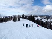 Gemakkelijke piste North Pole