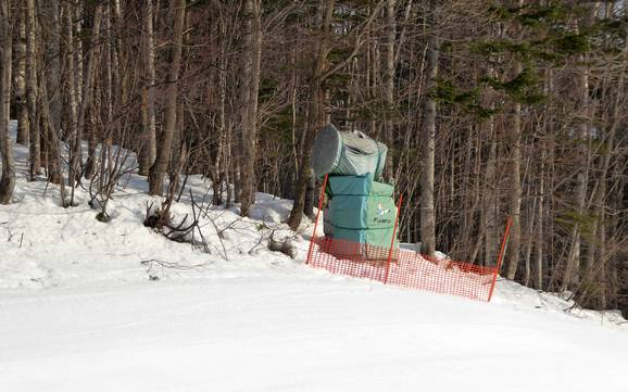 Sneeuwzekerheid Prince Snow Resorts – Sneeuwzekerheid Furano