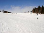 Makkelijke afdaling bij de Almwiesenlift