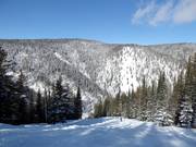 Buckelpiste met Alder Point