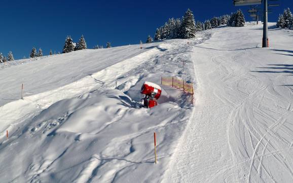 Sneeuwzekerheid Bodensee-Vorarlberg – Sneeuwzekerheid Laterns – Gapfohl