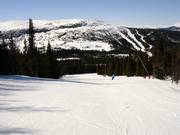 Makkelijke afdaling bij de sleeplift Blabaerfjell