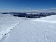 Piste nr. 13 Jungfrurännen